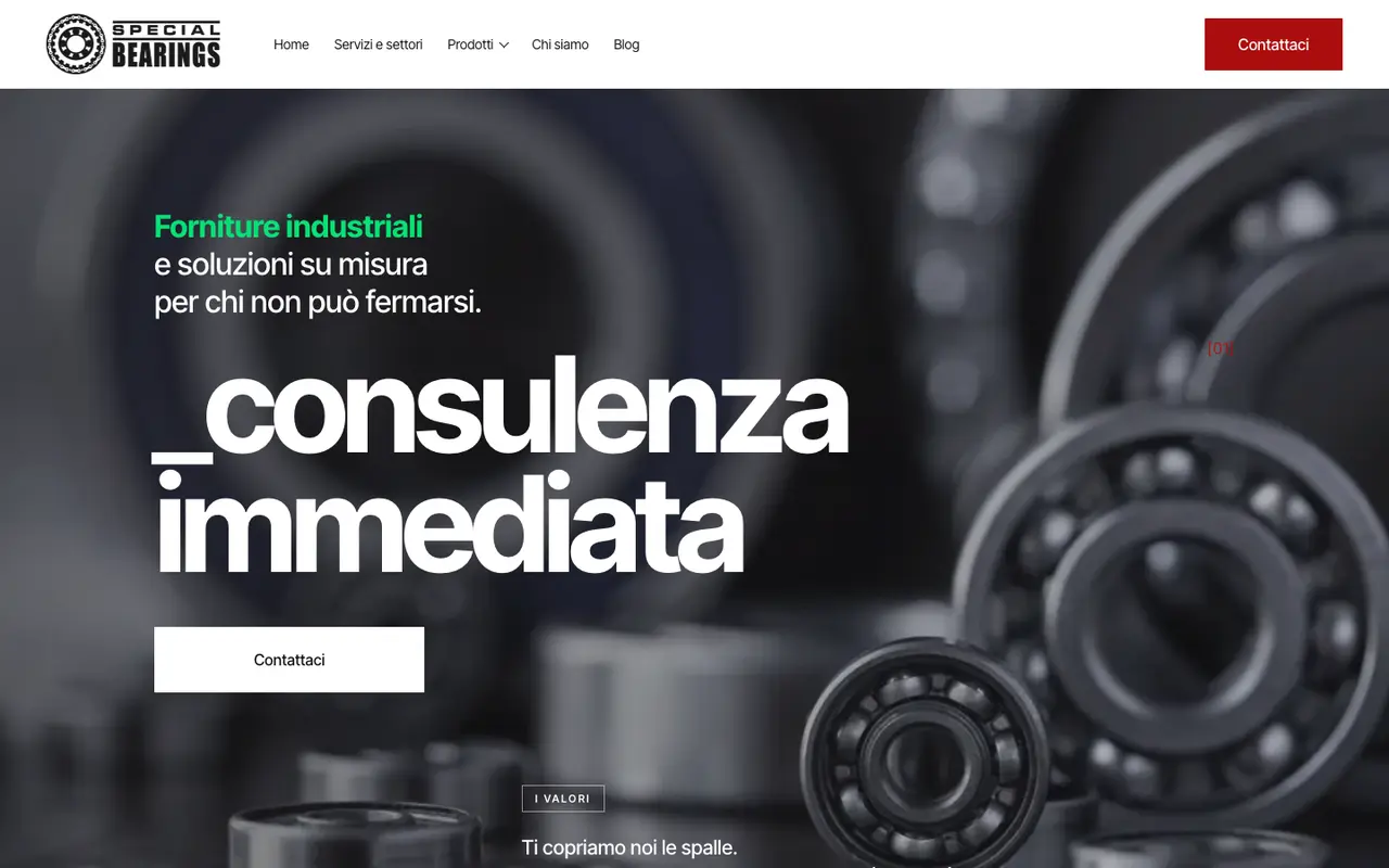 Home di Special Bearings