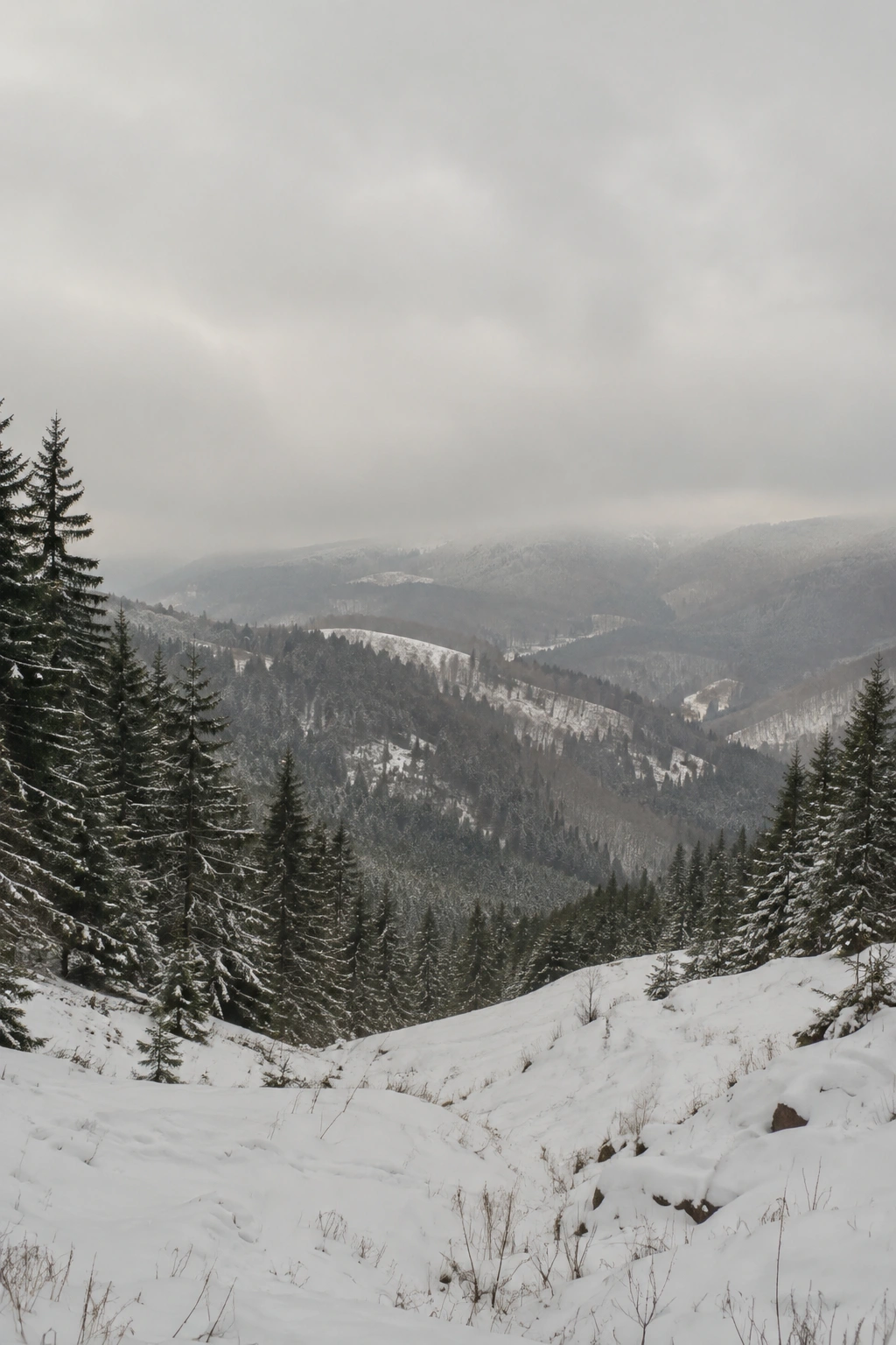 Valle invernale immaginaria, con neve, bosco e nebbia. Immagine generata con AI.